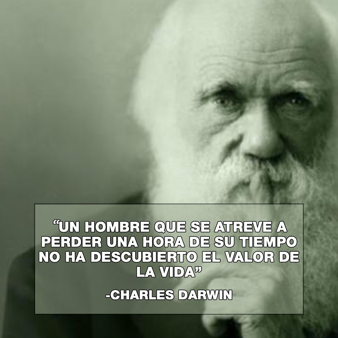 SeHablaRRSS's tweet photo. "Un hombre que se atreve a perder una hora de su tiempo no ha descubierto el valor de la vida"  -Charles Darwin.

#SeHablaFrases #CharlesDarwin #SeHablaRRSS https://t.co/so1u1YvJVU