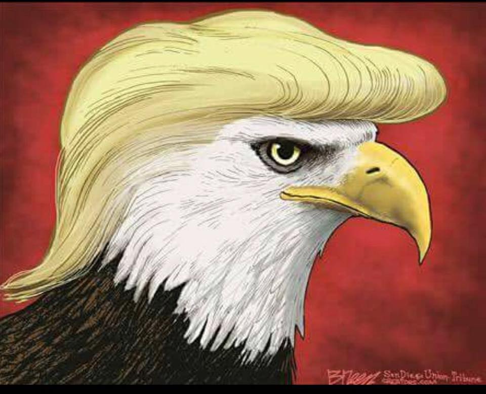 TaxiArchMichael's tweet photo. Meme of the day part 4 "Eagles" 
✝️🇺🇸👌🐸😇💯❤️🐲
#TRUMP2020
#KAG
#MAGA
#1776ers
#NoPedo2018
#POYB
#3Percent
#BlueLives
#QArmy
#KeKHeads
#EnlightenmentRebirth
#CommonSense
#RenaissanceAwakening
#PromisesKept
#VoteDemonRatOut2018
#ConservativeIsTheNewPunk
#TRUMPservative #Q https://t.co/1ZiYz7m73F