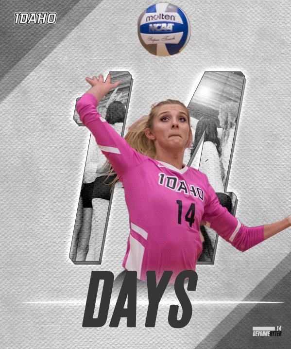 IdahoVolleyball's tweet photo. π¨TWO WEEKSπ¨
#PointVandals https://t.co/nUA7K5w4TN