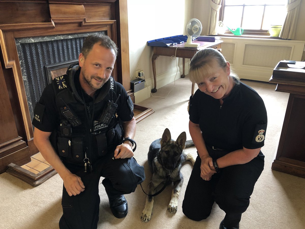 DeeMCollins's tweet image. Had a welcome visit from @WYPDogs this afternoon to check up on the progress of one of our latest recruits PD Luther. Welcome to @WestYorksPolice and being a key part of our team #greatresource #notditchingthedogs