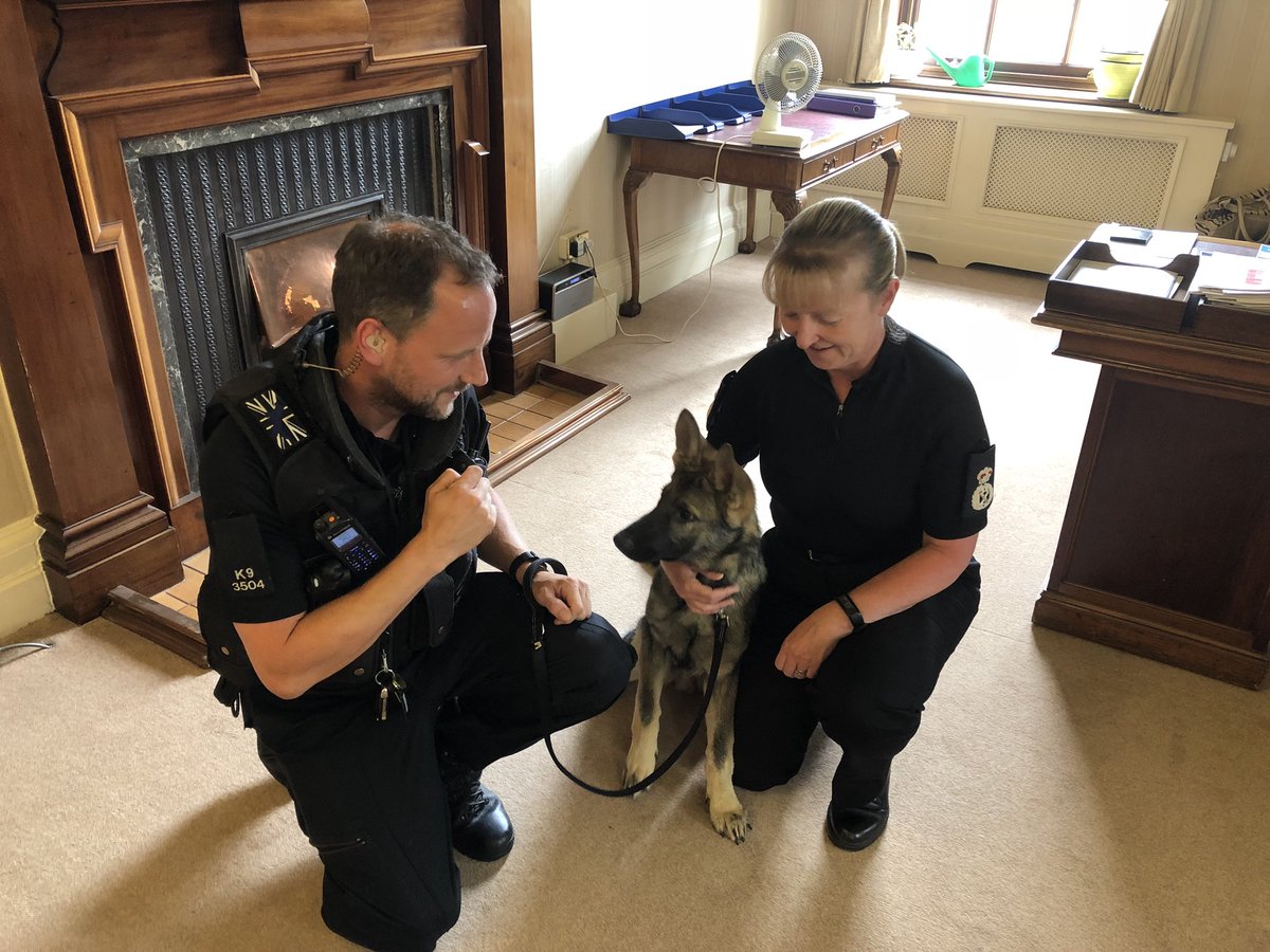 DeeMCollins's tweet image. Had a welcome visit from @WYPDogs this afternoon to check up on the progress of one of our latest recruits PD Luther. Welcome to @WestYorksPolice and being a key part of our team #greatresource #notditchingthedogs