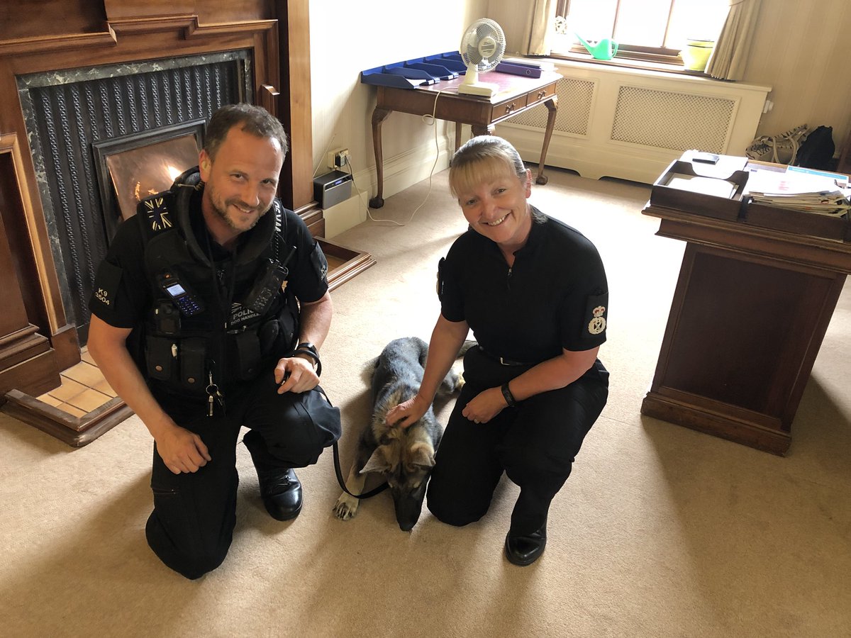 DeeMCollins's tweet image. Had a welcome visit from @WYPDogs this afternoon to check up on the progress of one of our latest recruits PD Luther. Welcome to @WestYorksPolice and being a key part of our team #greatresource #notditchingthedogs