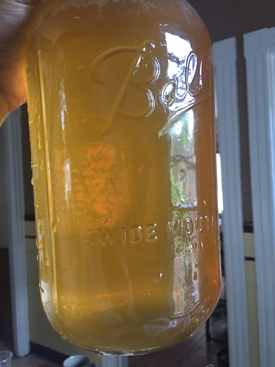 CapobiaNB's tweet image. Raspberry x reishi x lavender infusion made only by sunlight! Feeling very introverted and sleepy so I gotta respect the #premenstrual.