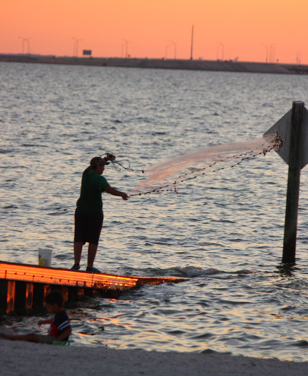 LillieDeans's tweet image. Casting a wide net #fishing
#castnet #tbt #tampa #sunset #cypresspointpark #photography @CityofTampa