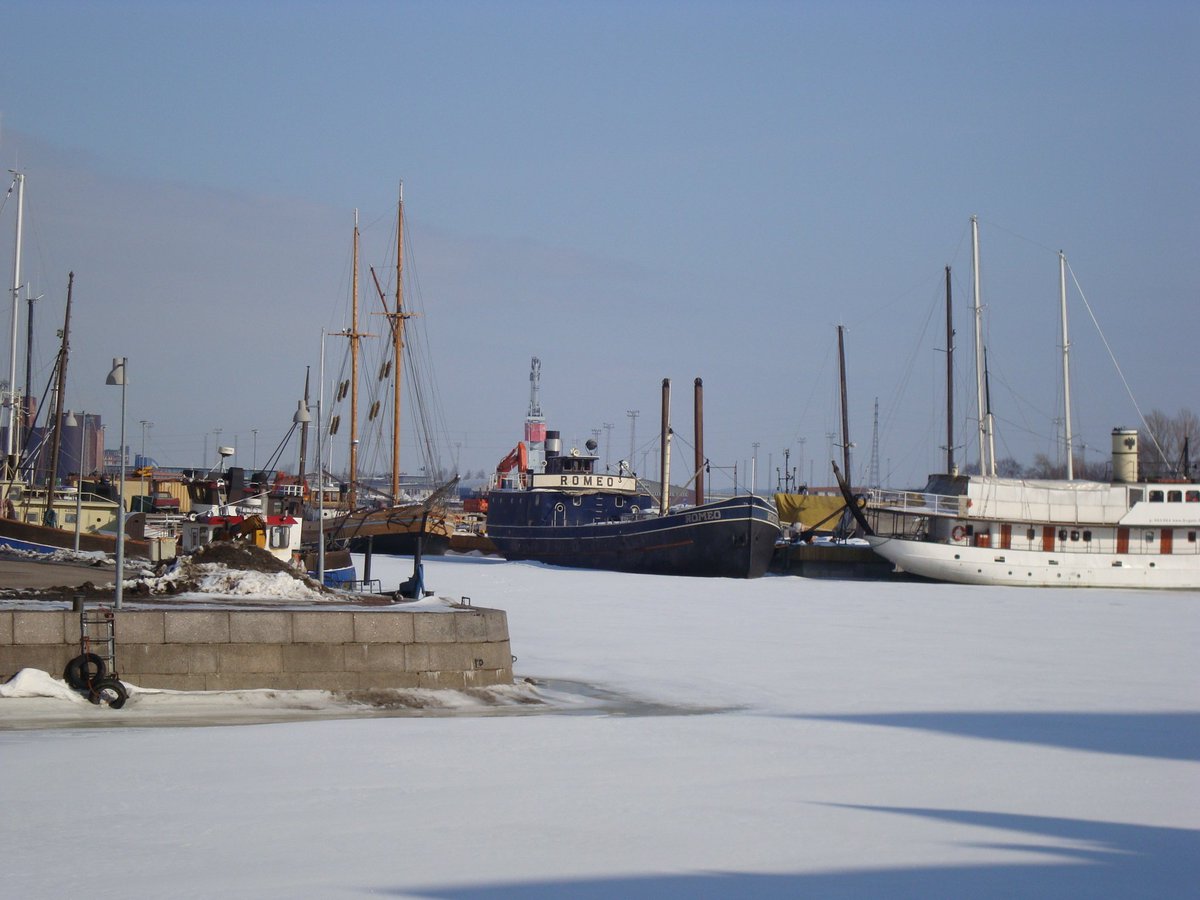 Zosia Silarski tweet media