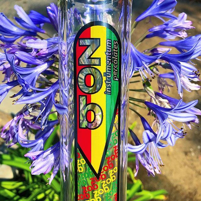 ZobGlass's tweet photo. Wild Things #zobglass #zobfb https://t.co/u5s1dz3fUd