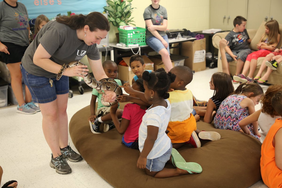 romecsd's tweet photo. The @UticaZoo brought some of their friends to the Community Schools Summer Drop-In Program today! π#FerretFriends #LizardLearning https://t.co/04mplmuOll