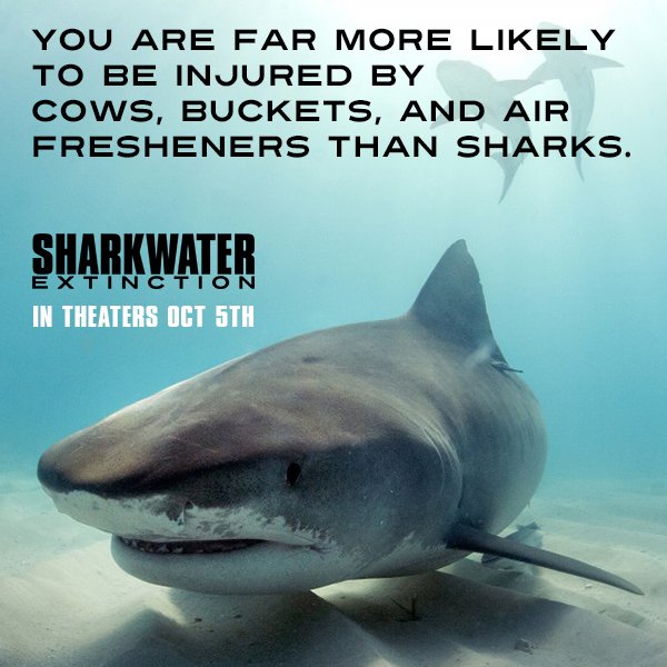 Sharkwater Extinction tweet media