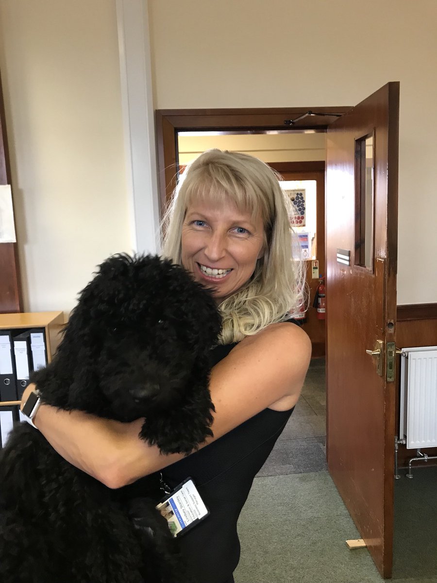 lindseyBSTM's tweet photo. A perfect #Therapet for the BST on the 5 o’clock rota tonight. Thanks for visiting @MrMcQuaker - can’t wait to see how big he grows. #weallwantone #bundleoffluff #bundlesoffun https://t.co/fjXJLRKnDI