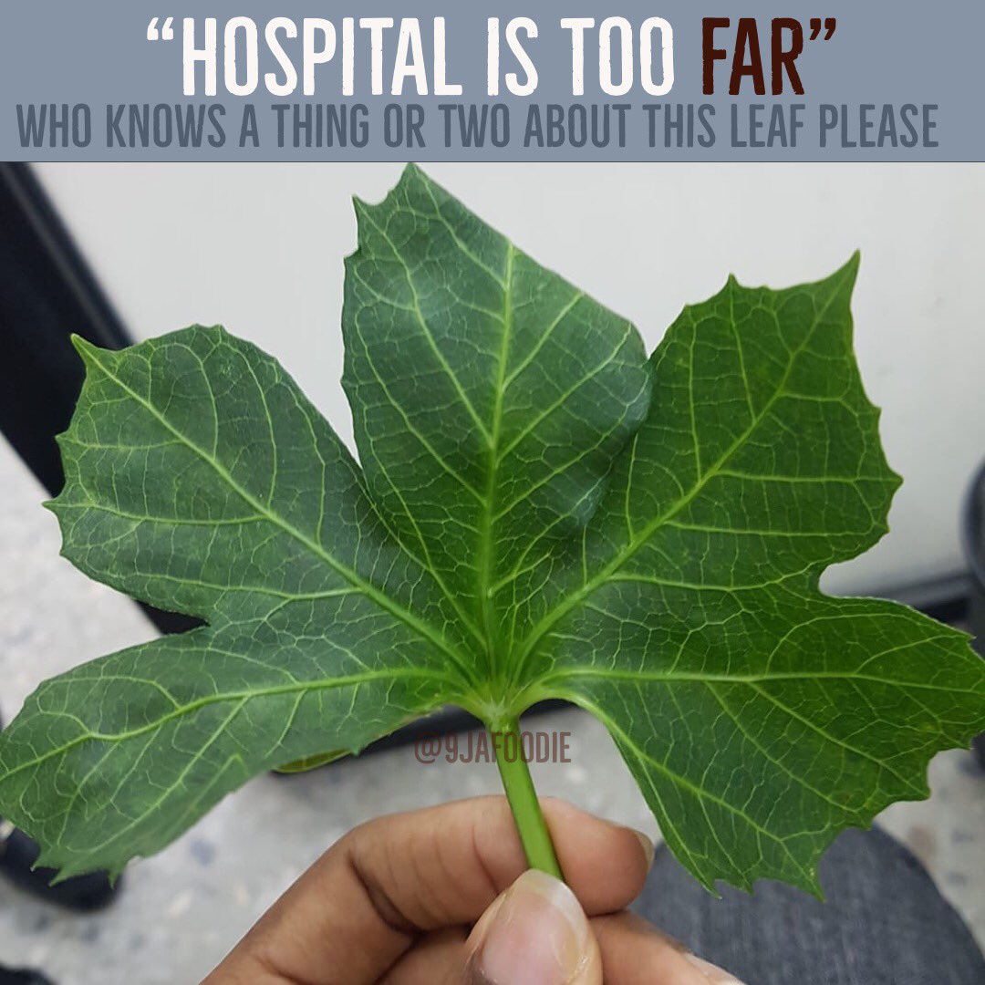 9jafoodie tweet media