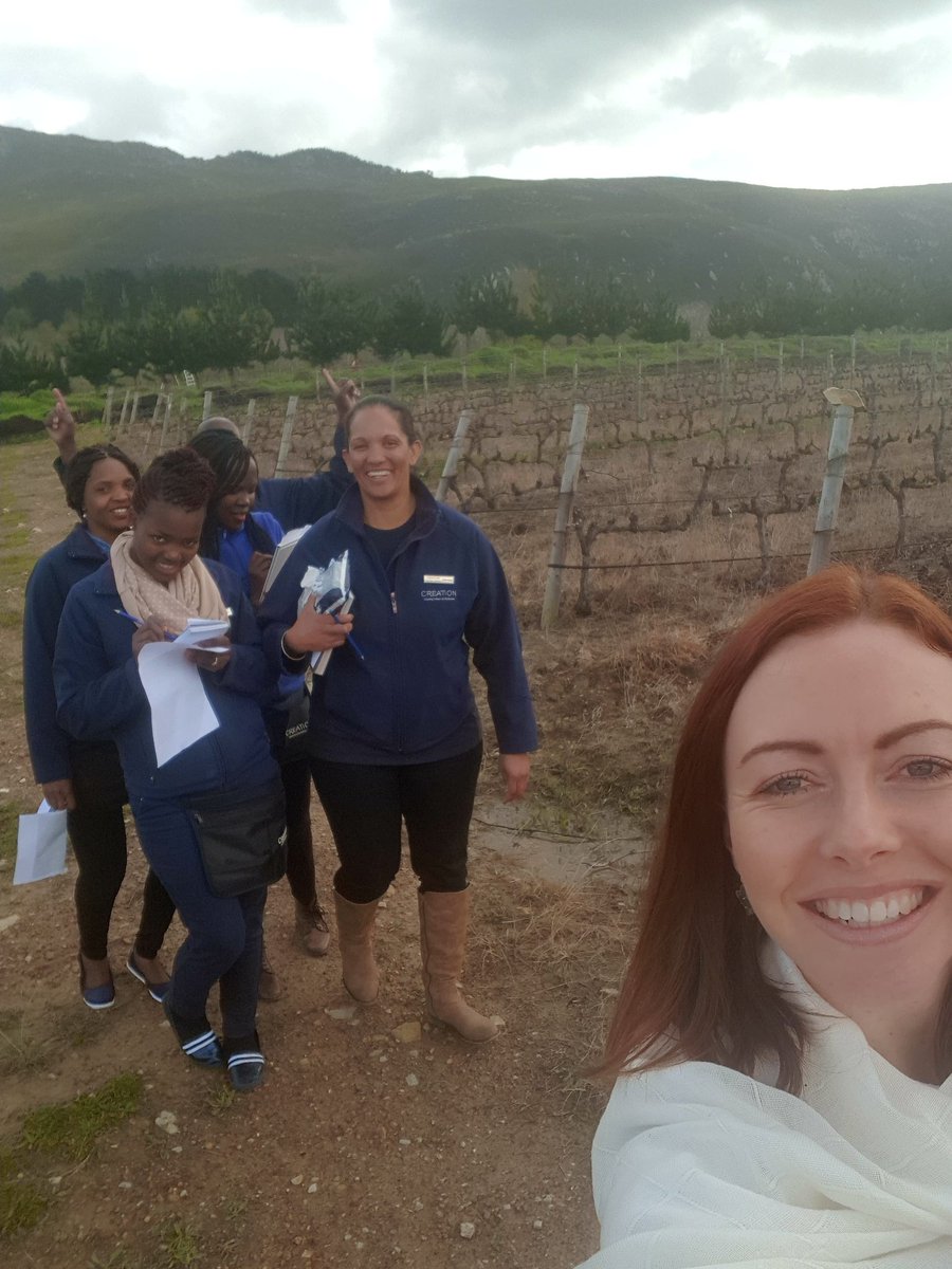 Discover Creation on foot @creationwines #Responsibletourism #nocarbonfootprint #creationeducation