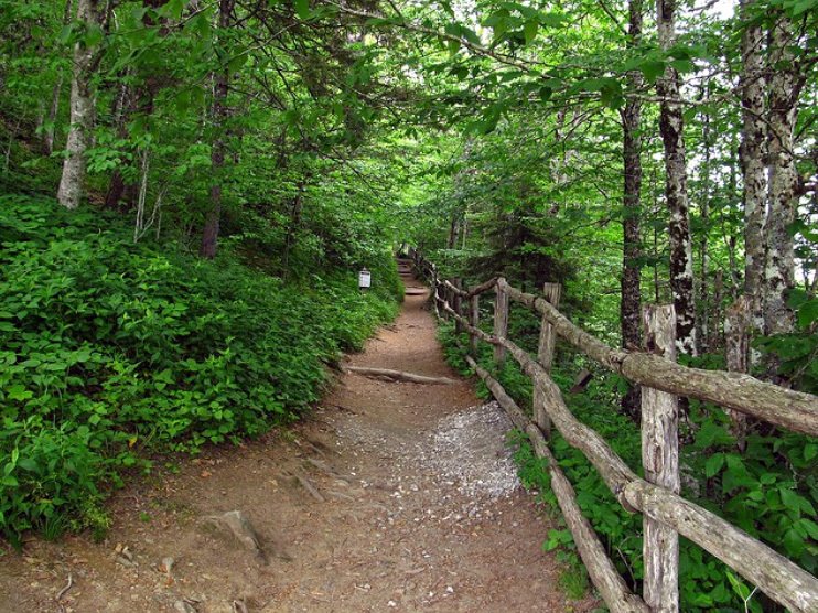 AppleValleyCafe's tweet photo. You will find beauty and adventure around every corner on the #PeacefulSideoftheSmokies! #TownsendTN https://t.co/ApUuJQWyf9