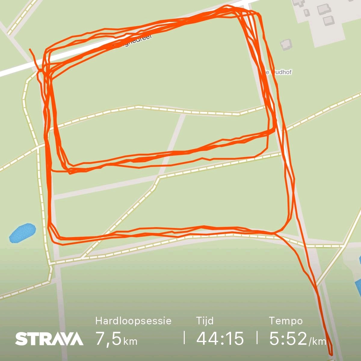 71esther's tweet photo. Lekkere training! Bos is niet zo stoffig meer. Prima #loopweer https://t.co/l8z1ntvXij https://t.co/qWDzRb5p1D