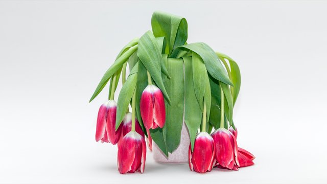 When you are on vacation, do you really disconnect? Deloitte’s Jen Fisher shares why rest and recovery is important to employee well-being: <a href="/DeloitteUS/">Deloitte US</a> @JenFish23 <a href="/HarvardBiz/">Harvard Business Review</a> #burnout deloi.tt/2nqHDGQ