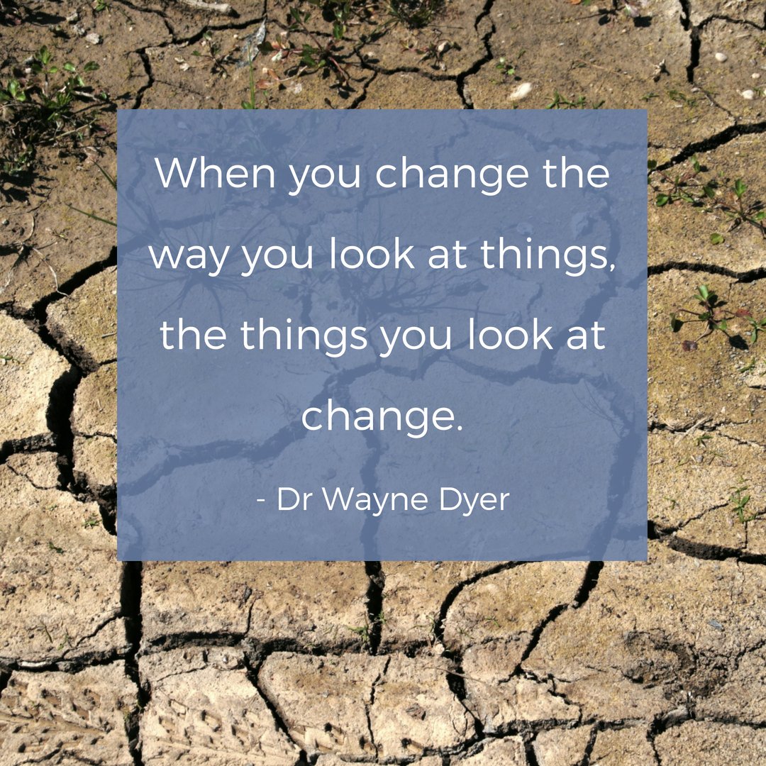 The Local Dish tweet media