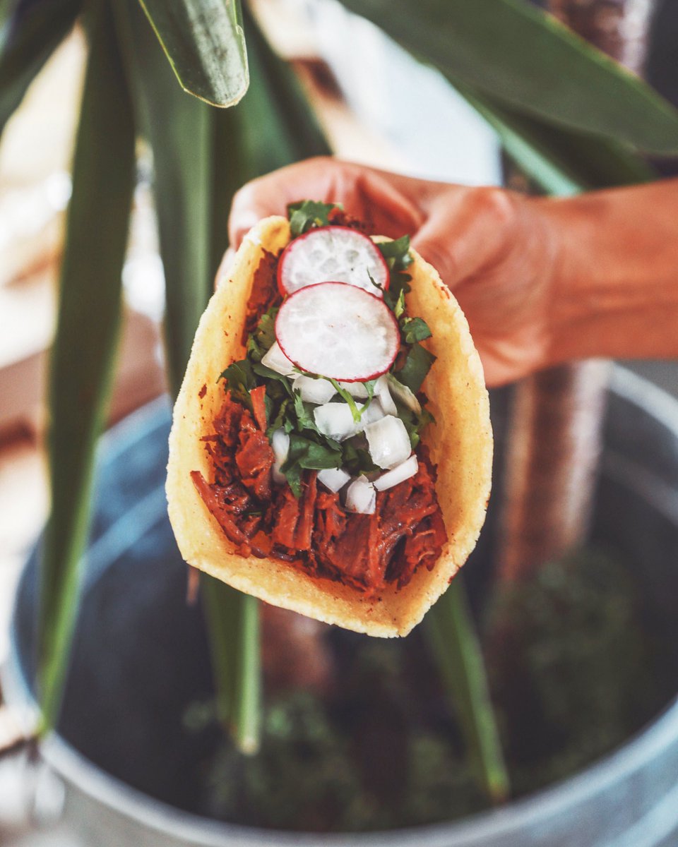 hugosmexkitchen's tweet photo. Live every day like it’s #TacoTuesday! 🌮🙌 #yvr #vancouver #mexicanfood #tacos #dishedvan #hugosmexicankitchen https://t.co/TL3FOQC8Ob
