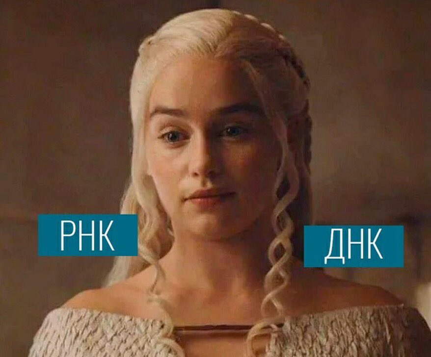 stoklishko's tweet photo. Меня просто вынесло сейчас... https://t.co/Cty708lmKw