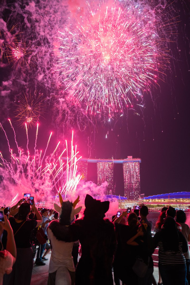 Dante_Wolfy's tweet photo. Thought I'd join in the fun with my buddy @BusCaptainDrgn at Marina Bay to celebrate Singapore's 53rd birthday !

Photographer 📸 : Frosty
Photo Edit : @FangSladeDrum

#fursuitfriday #fursuit #dragon #wolf #fireworks #sg53 #ndp2018 https://t.co/k1fyr4xXZk