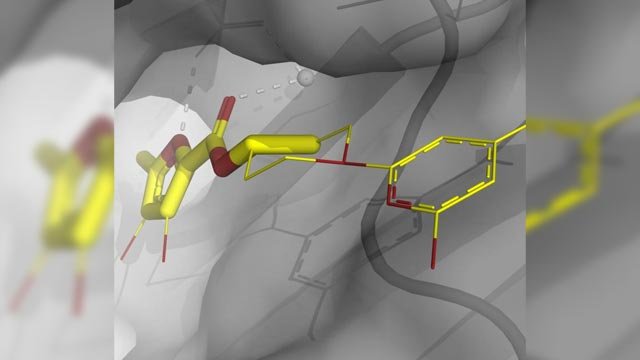 optimizing the soil physical environment toward greater crop yields