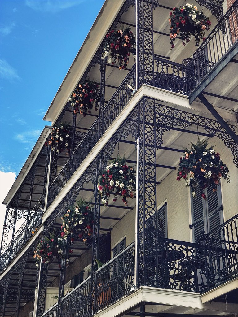 DavidMora's tweet image. Royal Street is full of really beautiful balconies! 🌿🌹 #lifeinthefrenchquarter #neworleans #onetimeinnola
