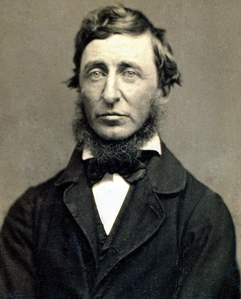 mental_floss's tweet image. “Books are the treasured wealth of the world and the fit inheritance of generations and nations.” —Henry David Thoreau #BookLoversDay