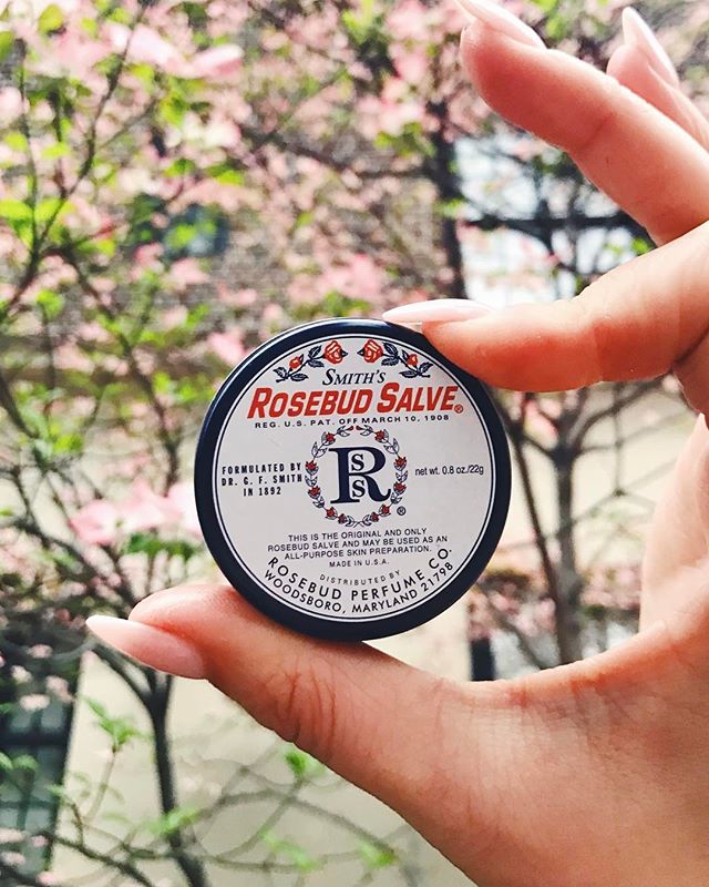 Simplicity in Washington Square Park 🌹 📸 Tiffany Fate #RosebudStories #BeautyOnTheGo #WashingtonSquarePark