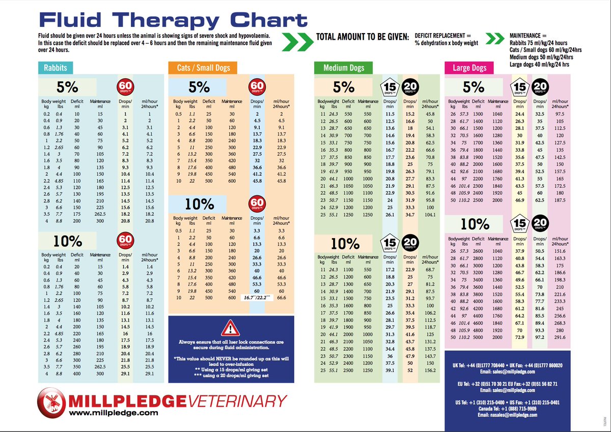 Veterinary Fluid Therapy Chart