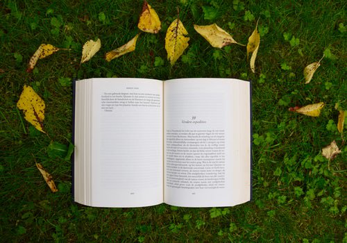 thePRINTevent's tweet photo. Curling up with your eReader just isn't the same. Happy National Book Lovers day from #PRINT18 @thePRINTevent https://t.co/sdLaVBIwHl