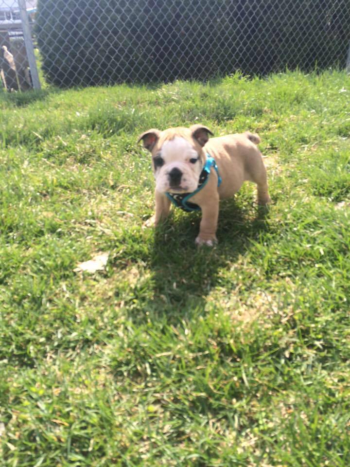 lascom5's tweet image. 