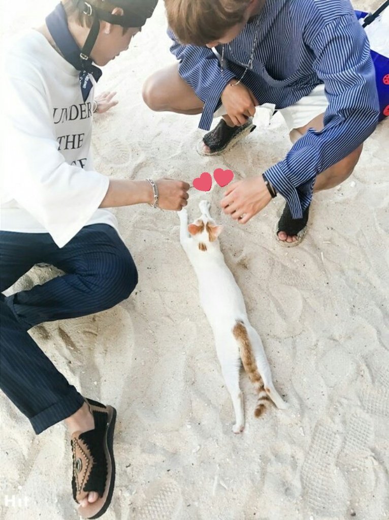 When Taehyung and Namjoon was playing with the cute kitty and Taehyung tried to imitate it and laid down in the sand.