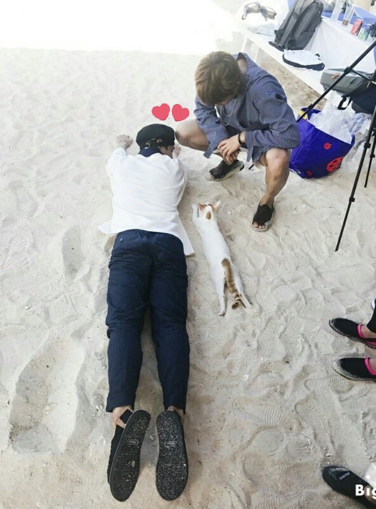 When Taehyung and Namjoon was playing with the cute kitty and Taehyung tried to imitate it and laid down in the sand.