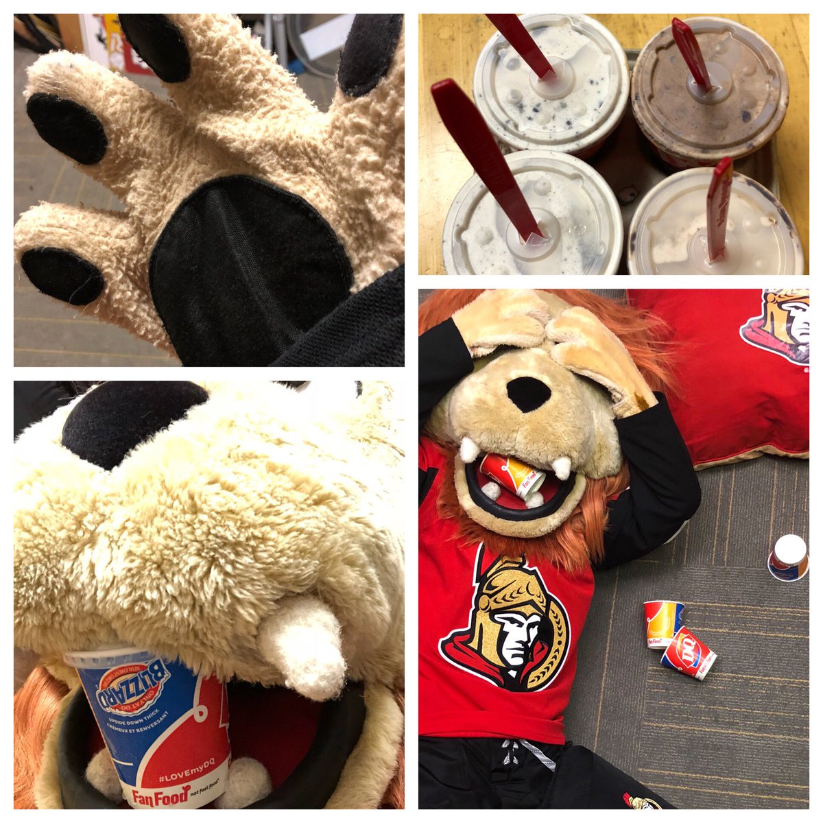 Spartacat 🦁 tweet media