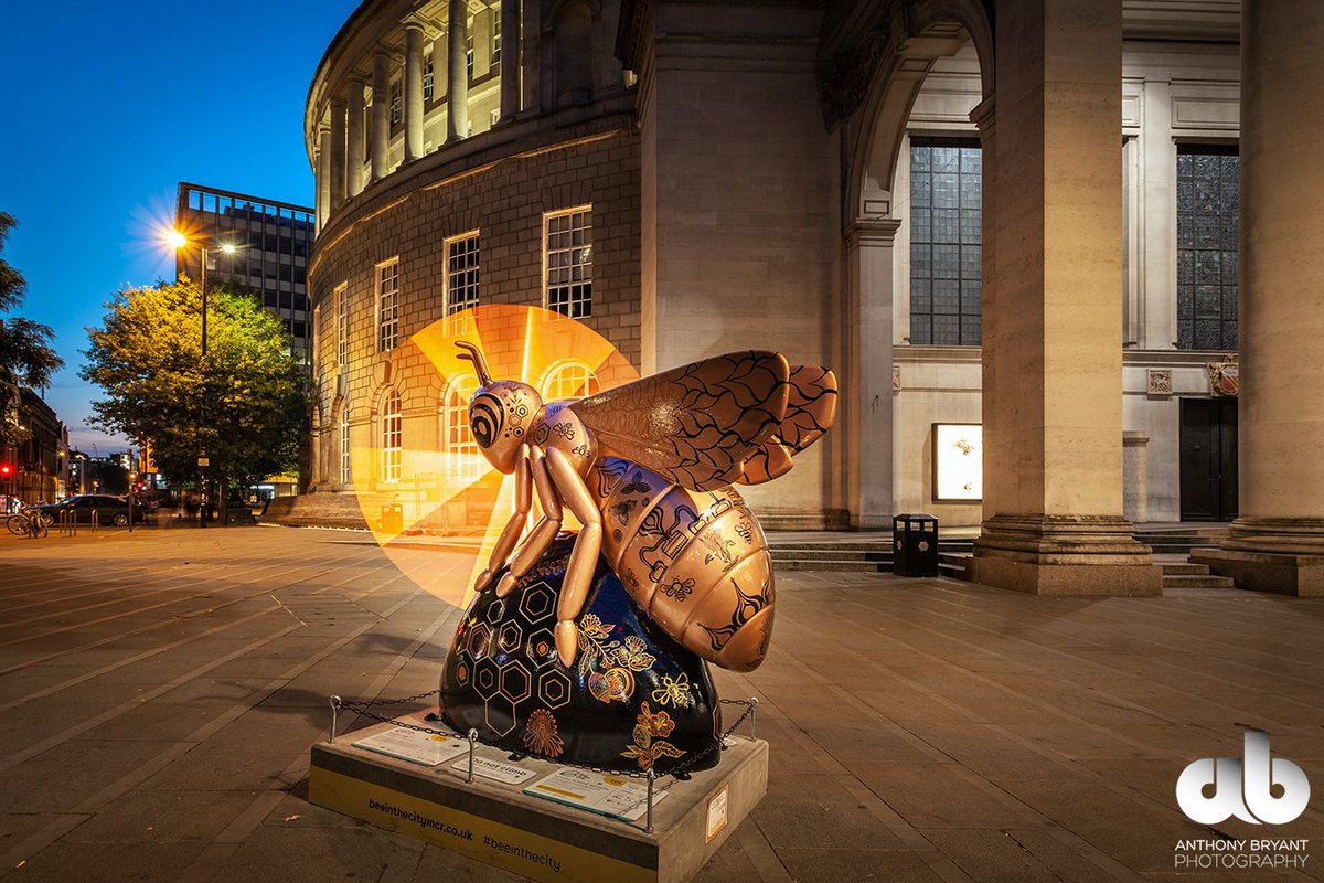 AWBPhotography's tweet photo. Little copper light wheel for the #DistillerBee for my #Beesafterdark project. This one designed by @LauraKateDraws for @MCR_Gin Can't wait to show you some more light painting designs coming soon. @beeinthecitymcr #mancmade https://t.co/oiGsoyK60M