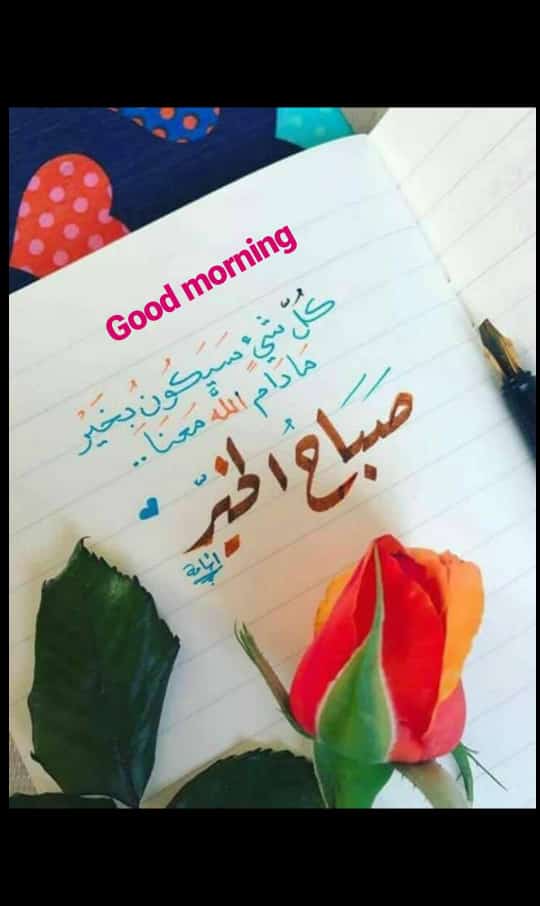 Djelassi. imed (@imed37901740) on Twitter photo 