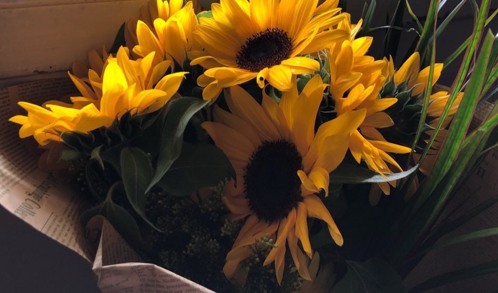 sunflowerlust's tweet photo. sunflowers always brighten my day 🌞🌻😍 https://t.co/vpiy16nm0X