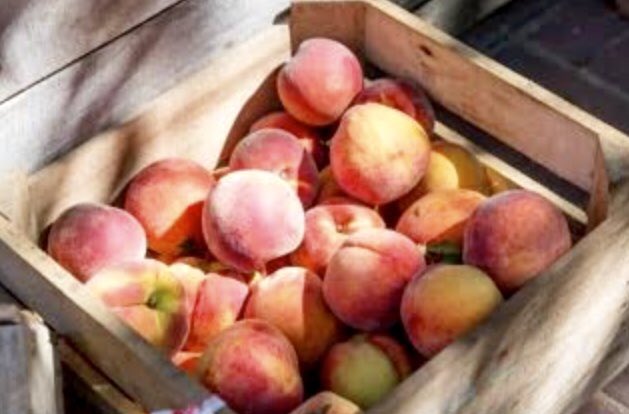 s_sherri's tweet photo. Yummy peach recipes up on my website!  Enjoy. https://t.co/jbvZN6uipA https://t.co/Od3aEVOswG