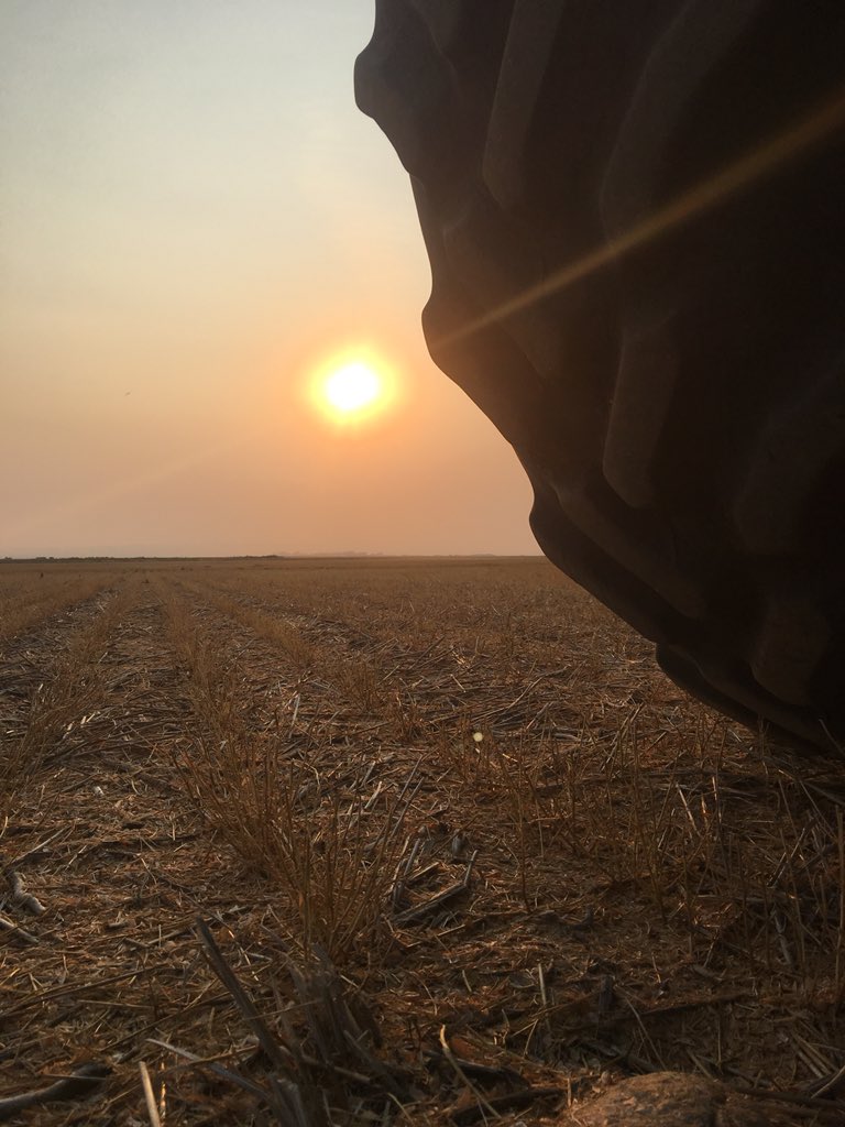 DwayneMihalicz's tweet photo. If you don’t like harvest sunset pics you might want to unfollow me for awhile! 😂#Harvest18 https://t.co/nL7gkndJLD
