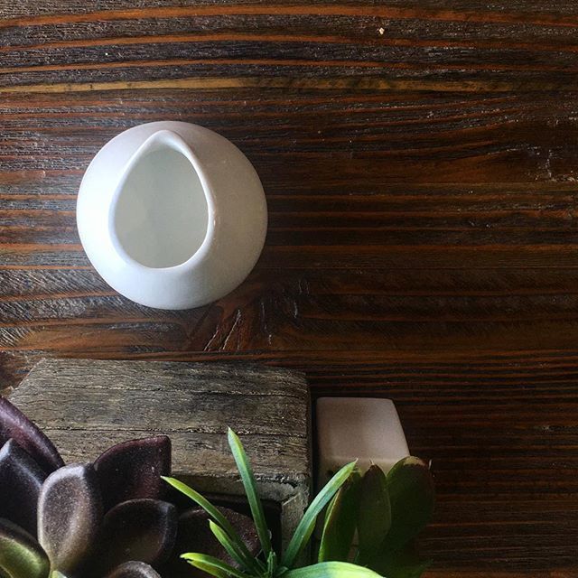 Alicia Mejia tweet media