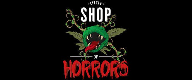 TheatreSouthend's tweet photo. Big congrats to @SouthendTheatre Summer Youth Project's Little Shop of Horrors #lsoh2018 on their Opening Night performance and thanks for your wonderful hospitality. Review coming soon! https://t.co/Yct91WrZ6X