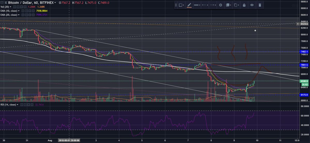 Crypto Hippo 💜 tweet media