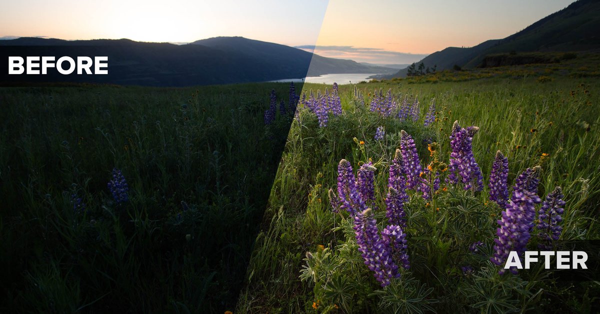 MattKloskowski tweet media