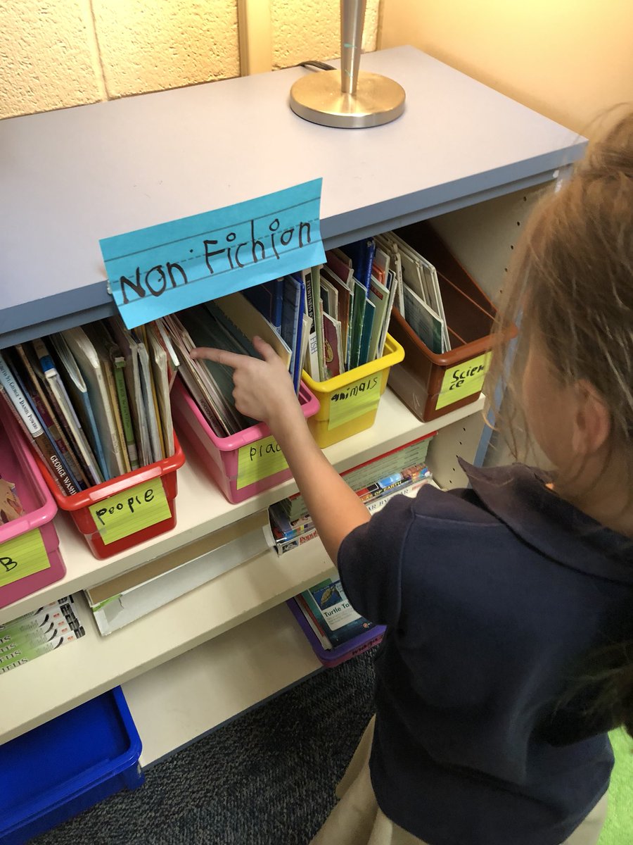 AllyMTay's tweet photo. 2A is full of book worms!! 🐛📚💙 Today we worked together to organize our classroom library! Kids divided books into fiction vs nonfiction and then into genres and categories! Creating your own library is so empowering!!!! #StudentLibrary #KidsChoice https://t.co/n3mURCRbKV