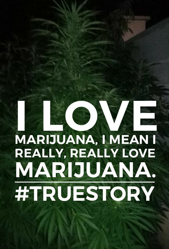 Becca☮️💟✝️ 🇺🇲 (@hippie_of_love) on Twitter photo 