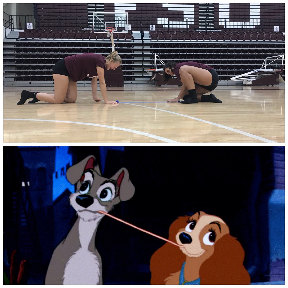 @ECordle and @robbsammi are basically Disney stars now!! #fsuvb #meetmeinthemiddle