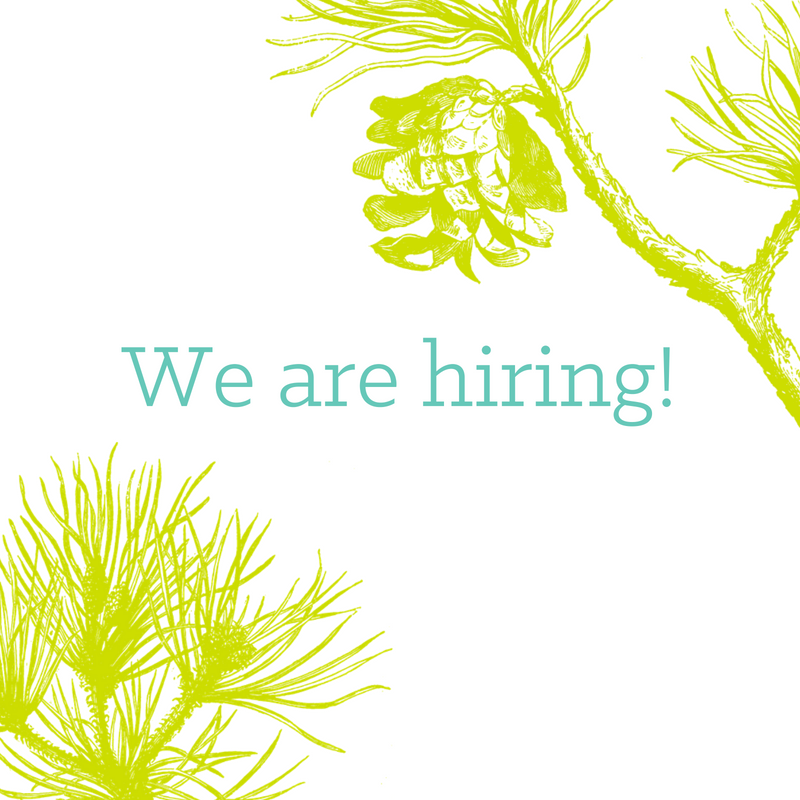 We are hiring! Leaf &amp; Limb is looking for two entry-level workers to join our crews. No experience necessary. Apply here: buff.ly/2vRYwxQ