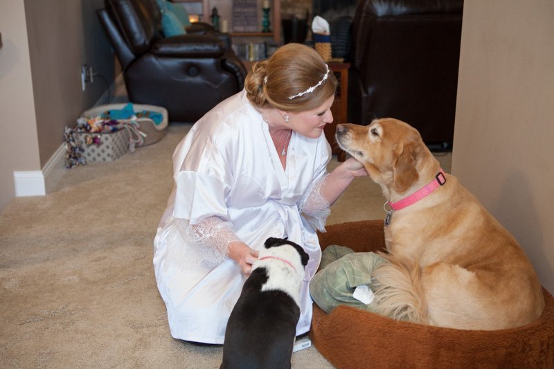 MiragePhotoSTL's tweet photo. Wedding day puppy love is ALWAYS the best! 💕🐾 https://t.co/NxmW9t7Od2