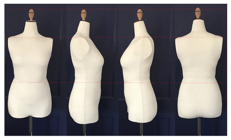 Beatrice Forms tweet media