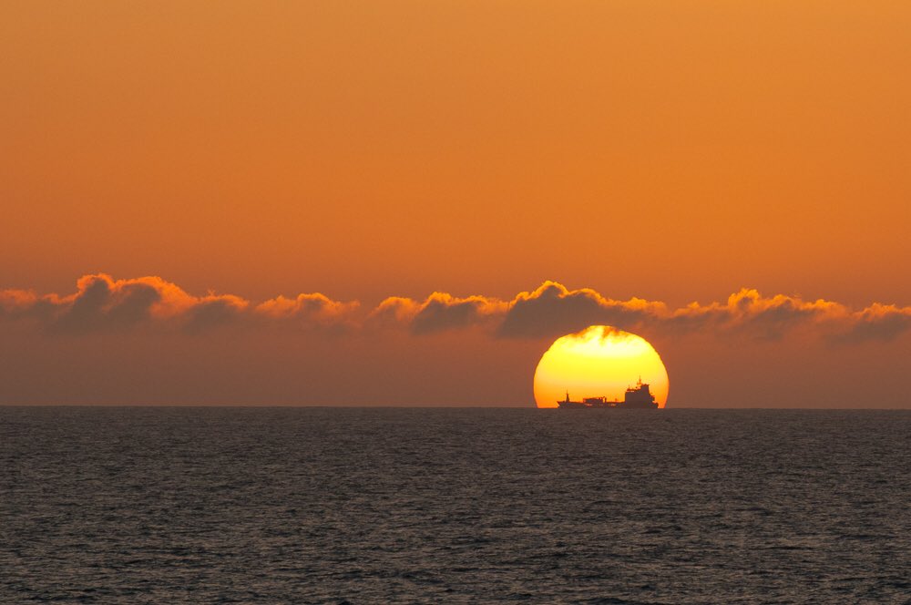 I was so lucky to get this shot!