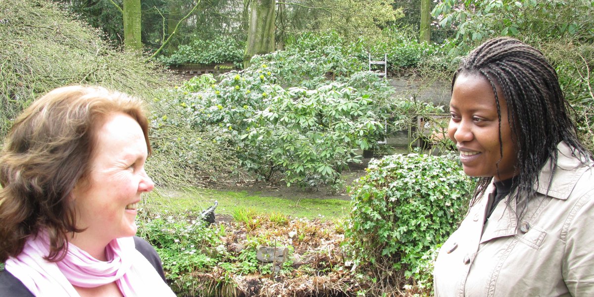 TiesBridge tweet picture