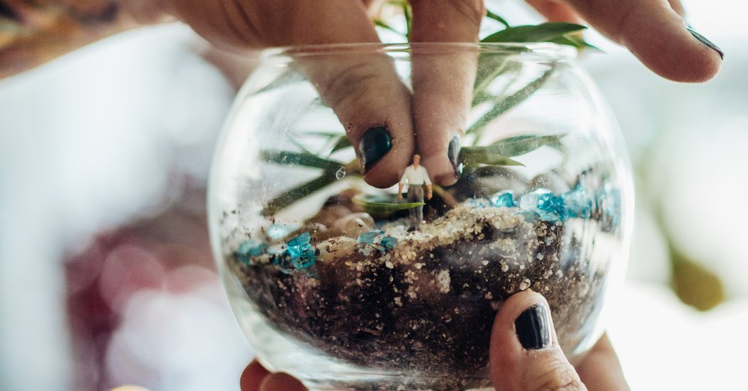 DRS and Associates tweet media